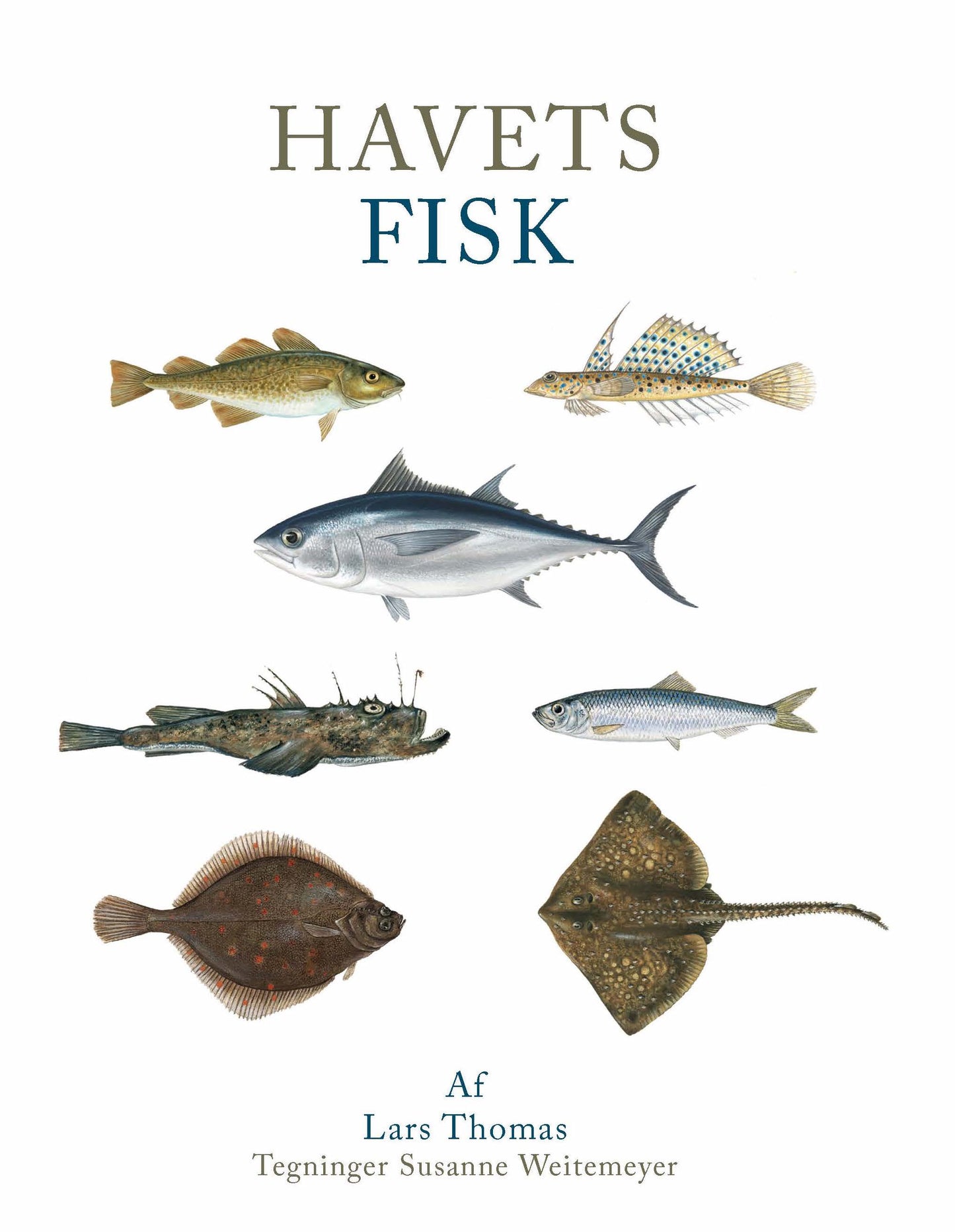 HAVETS FISK