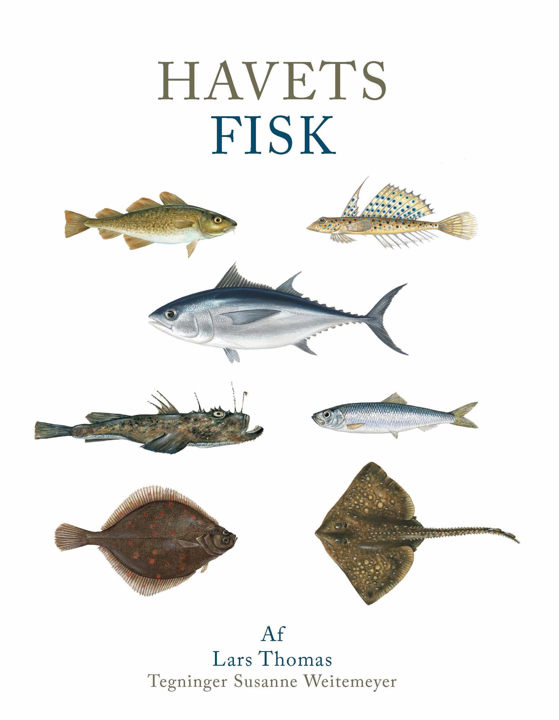 HAVETS FISK
