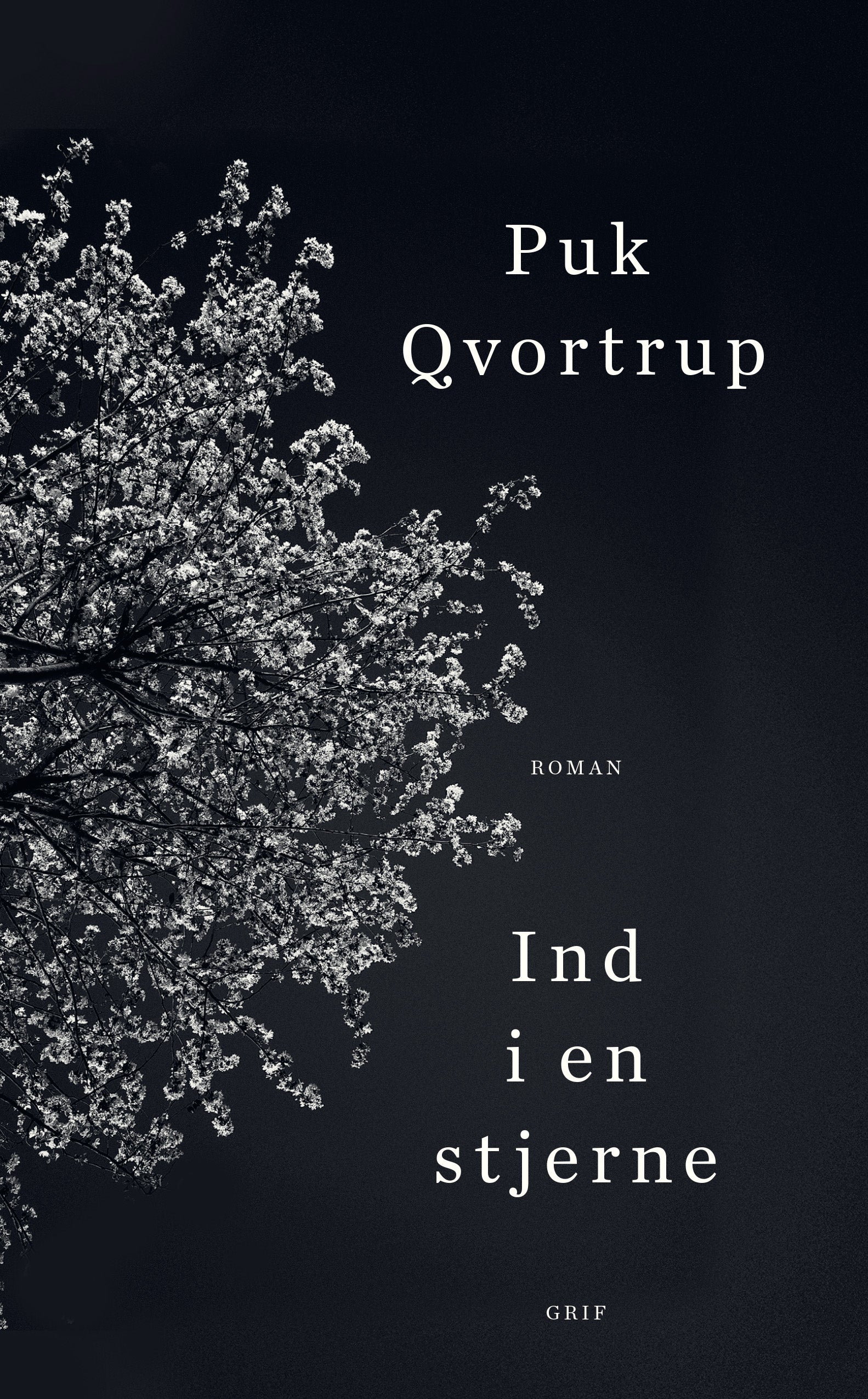 IND I EN STJERNE