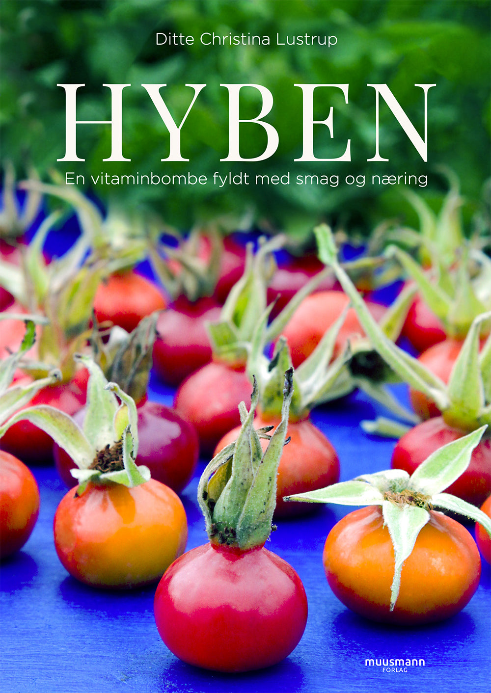 HYBEN