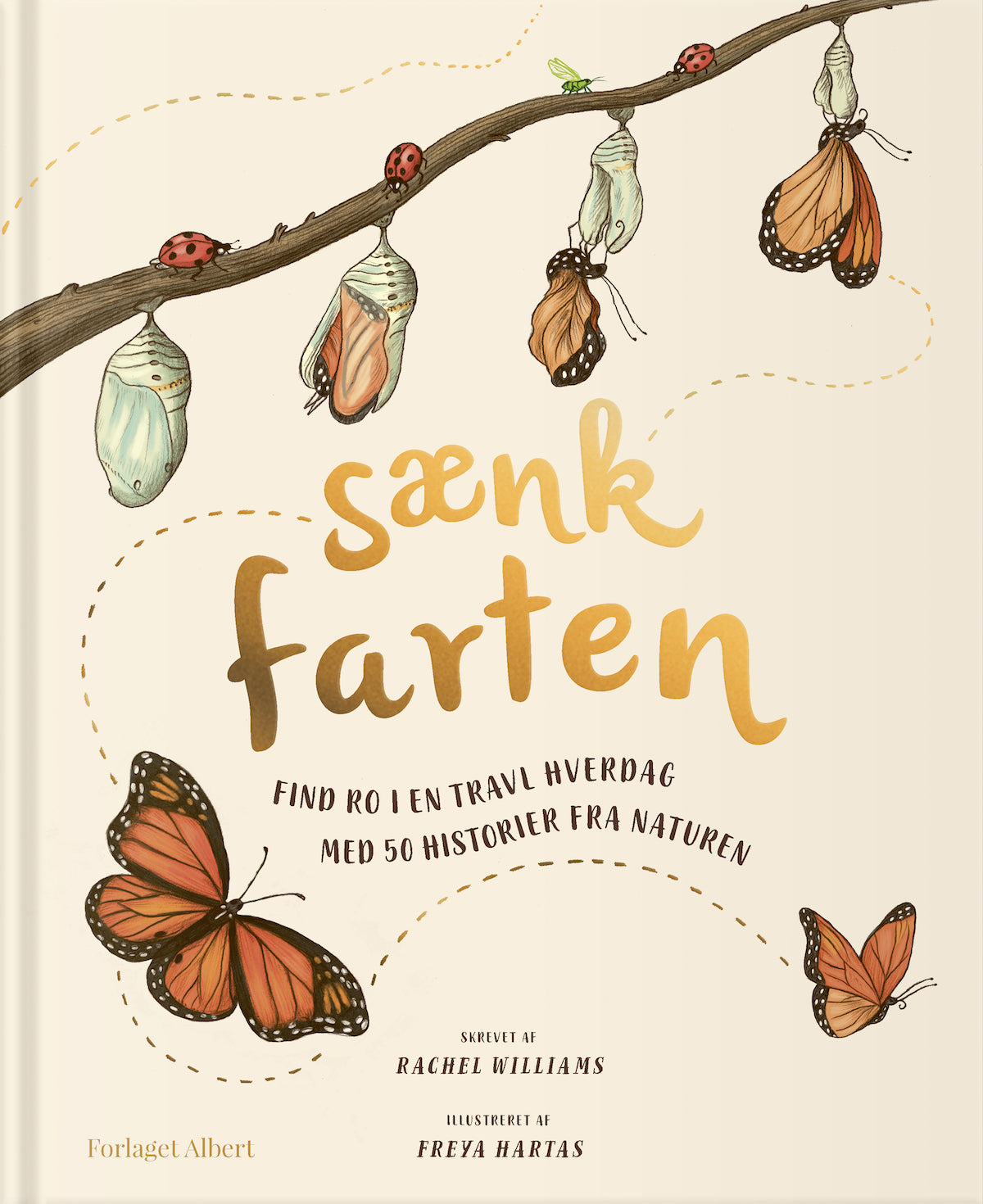 SÆNK FARTEN