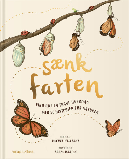 SÆNK FARTEN
