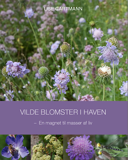 VILDE BLOMSTER I HAVEN