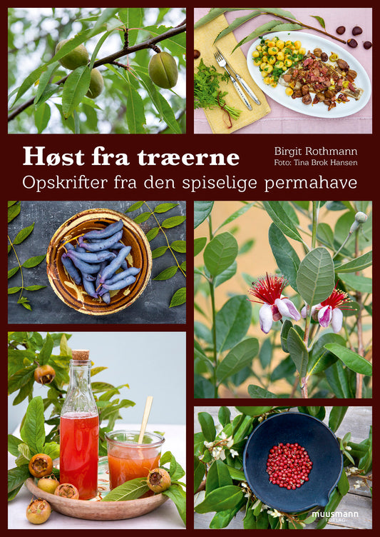HØST FRA TRÆERNE