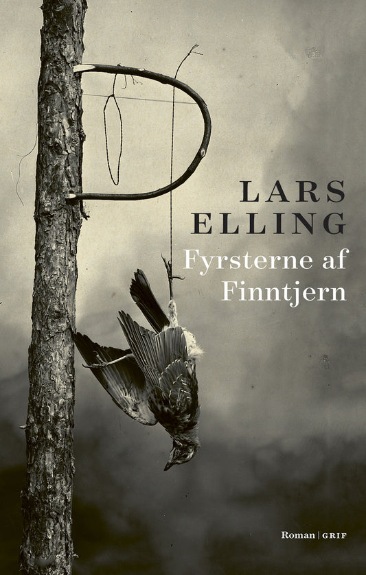 FYRSTERNE AF FINNTJERN