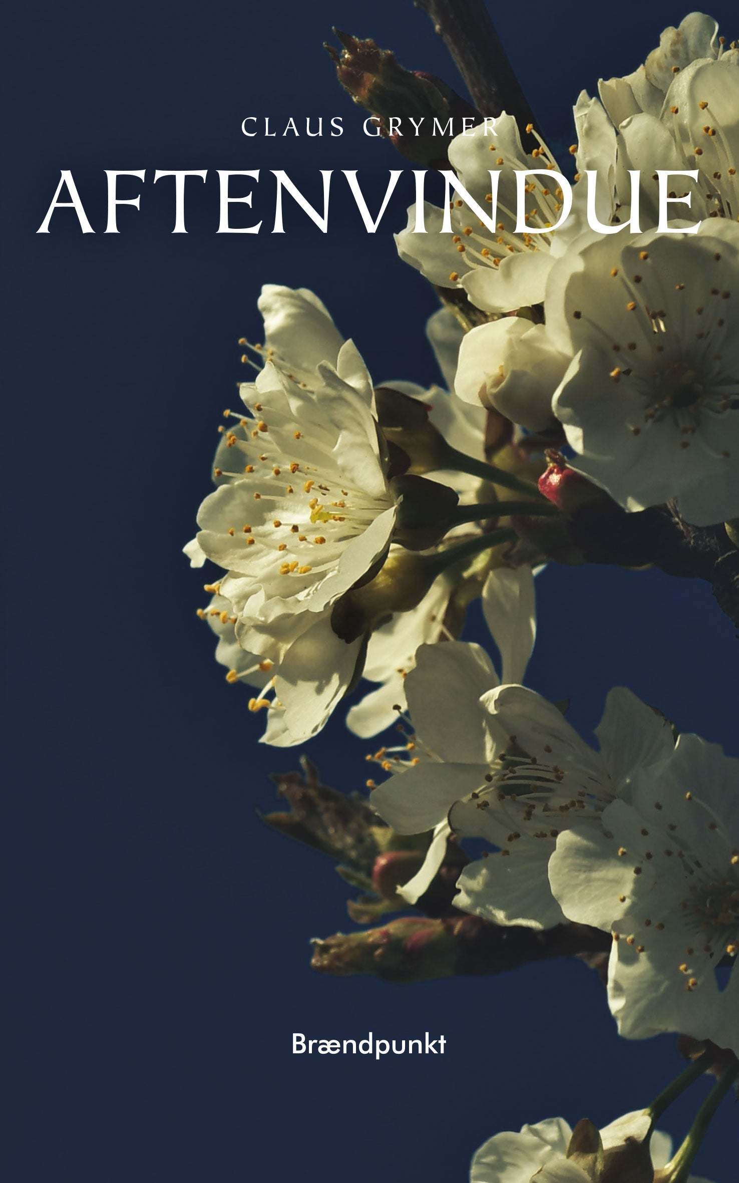 AFTENVINDUE