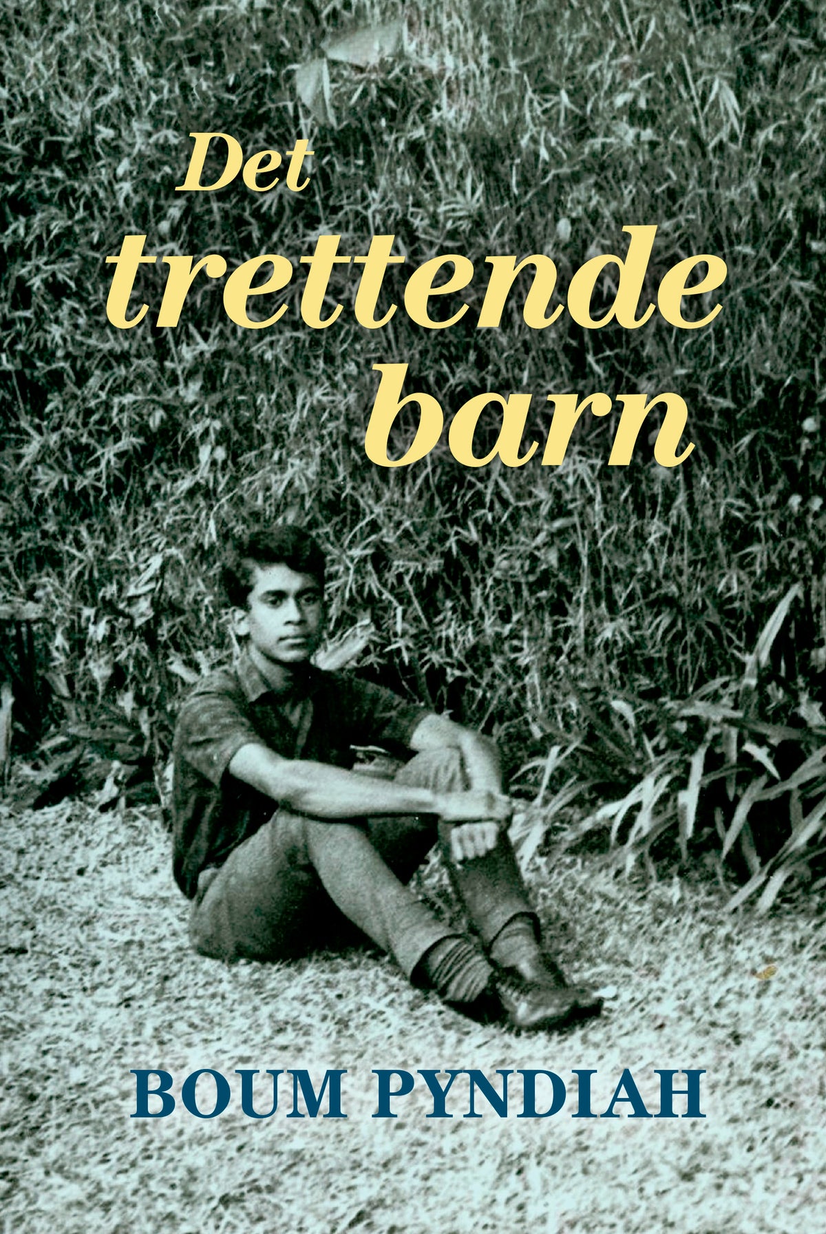 DET TRETTENDE BARN