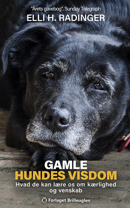 GAMLE HUNDES VISDOM