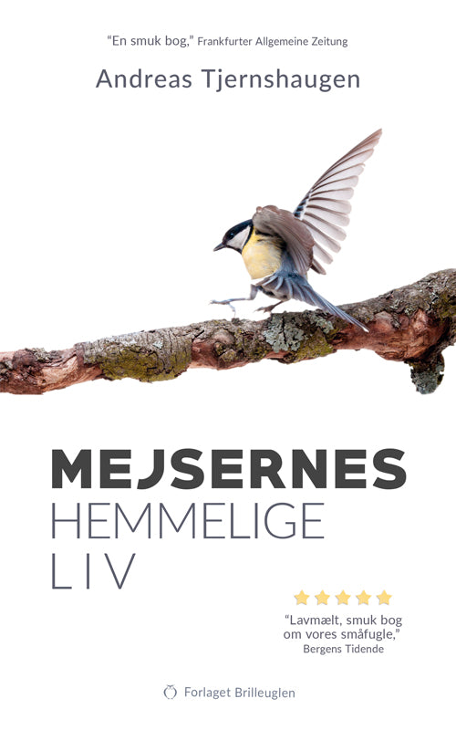 MEJSERNES HEMMELIGE LIV
