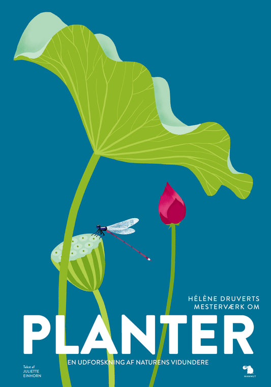 PLANTER