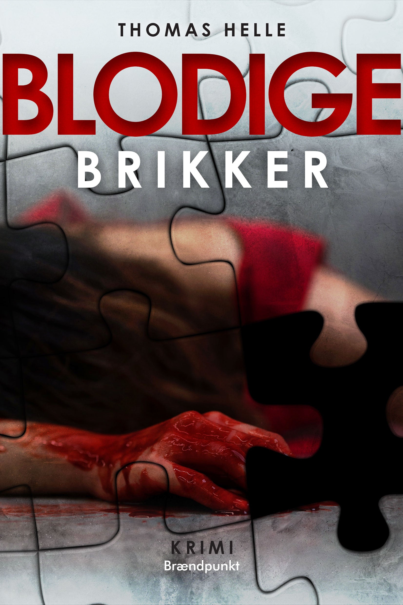 BLODIGE BRIKKER