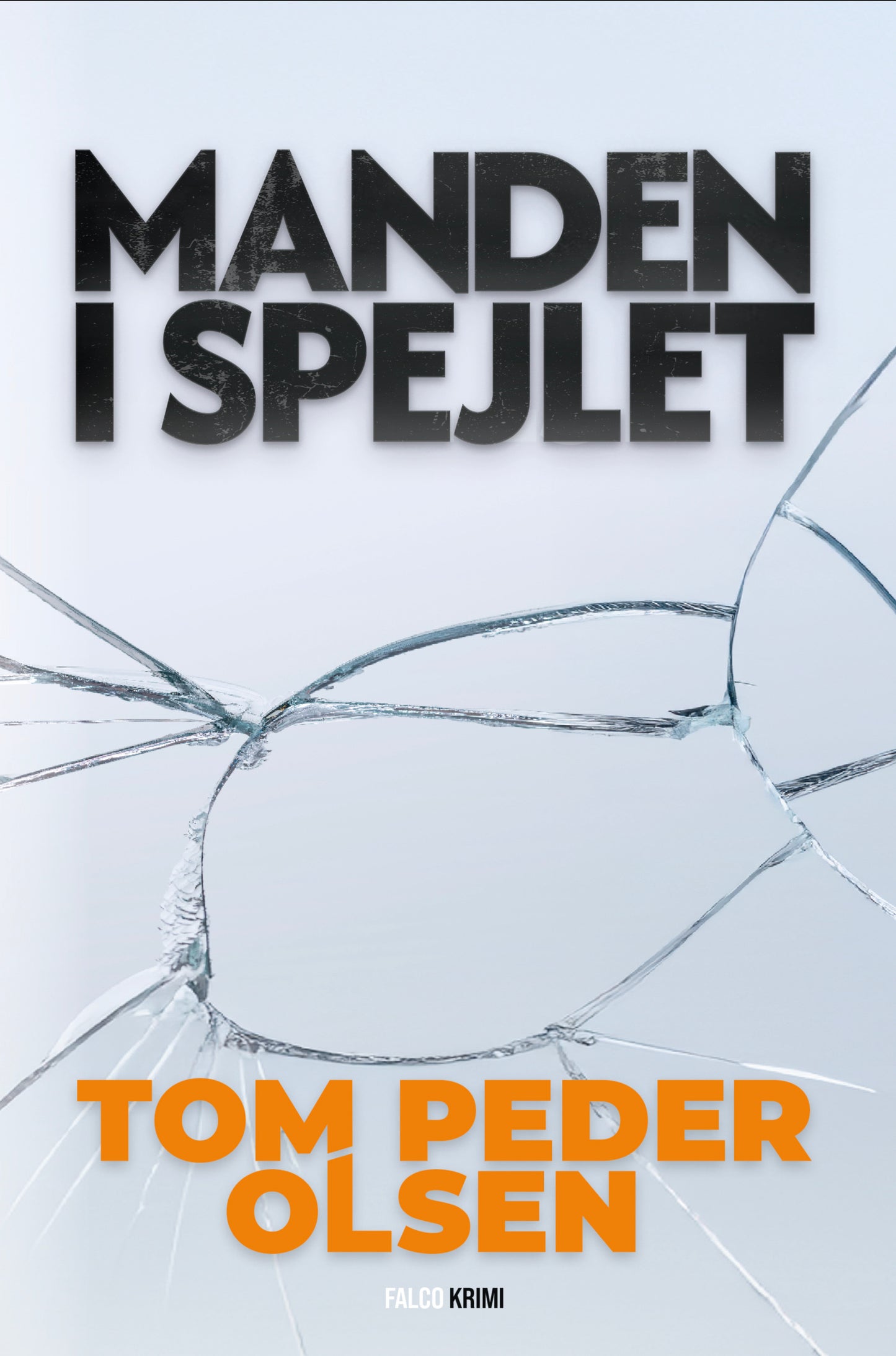 MANDEN I SPEJLET