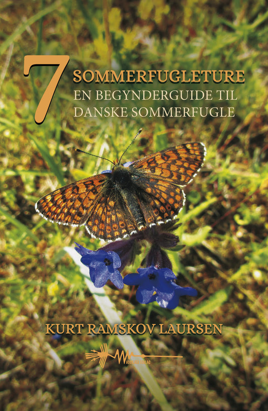 SYV SOMMERFUGLETURE