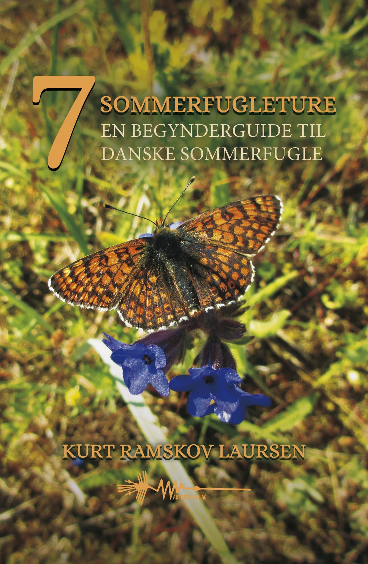 SYV SOMMERFUGLETURE