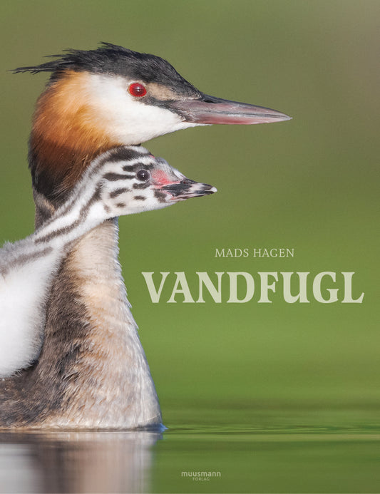 VANDFUGL