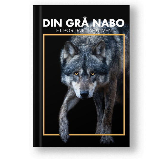 DIN GRÅ NABO