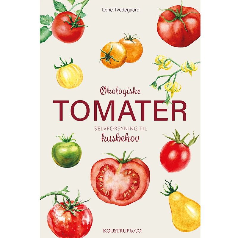 ØKOLOGISKE TOMATER