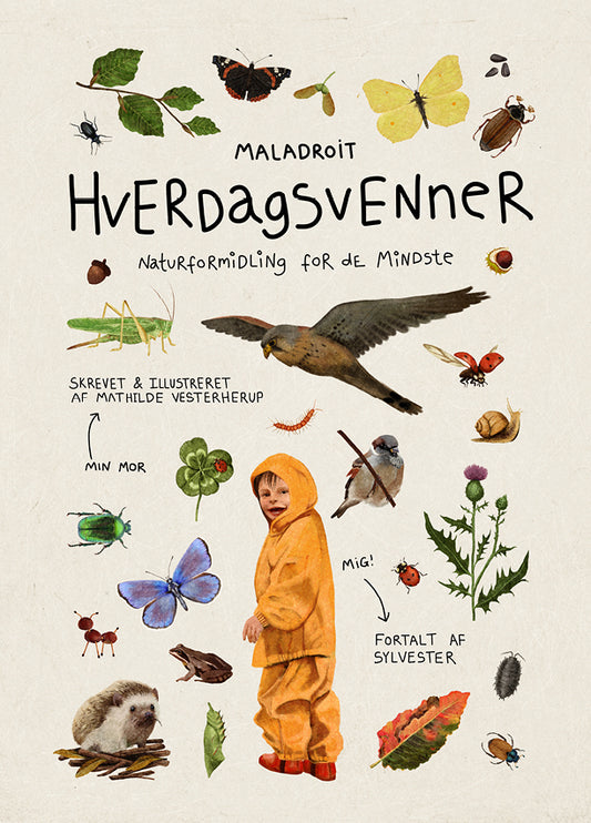 HVERDAGSVENNER
