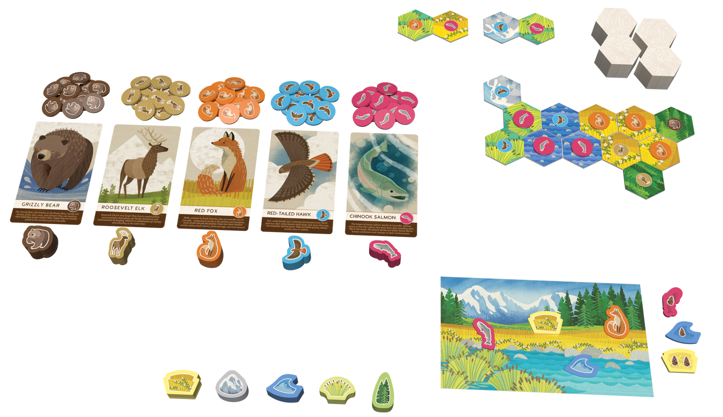 CASCADIA JUNIOR NORDIC