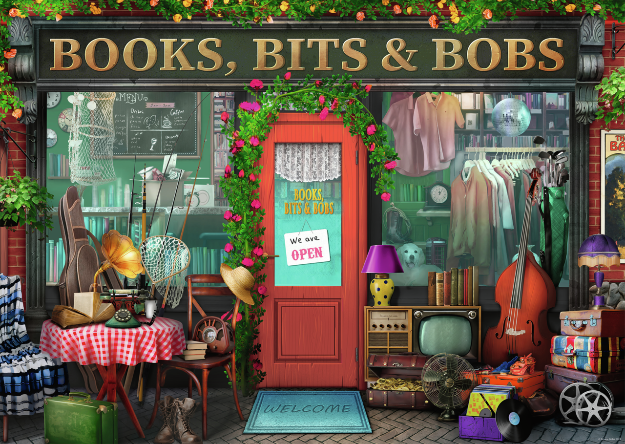 RAVENSBURGER BOOKS BITS & BOBS 1000 BRIKKER