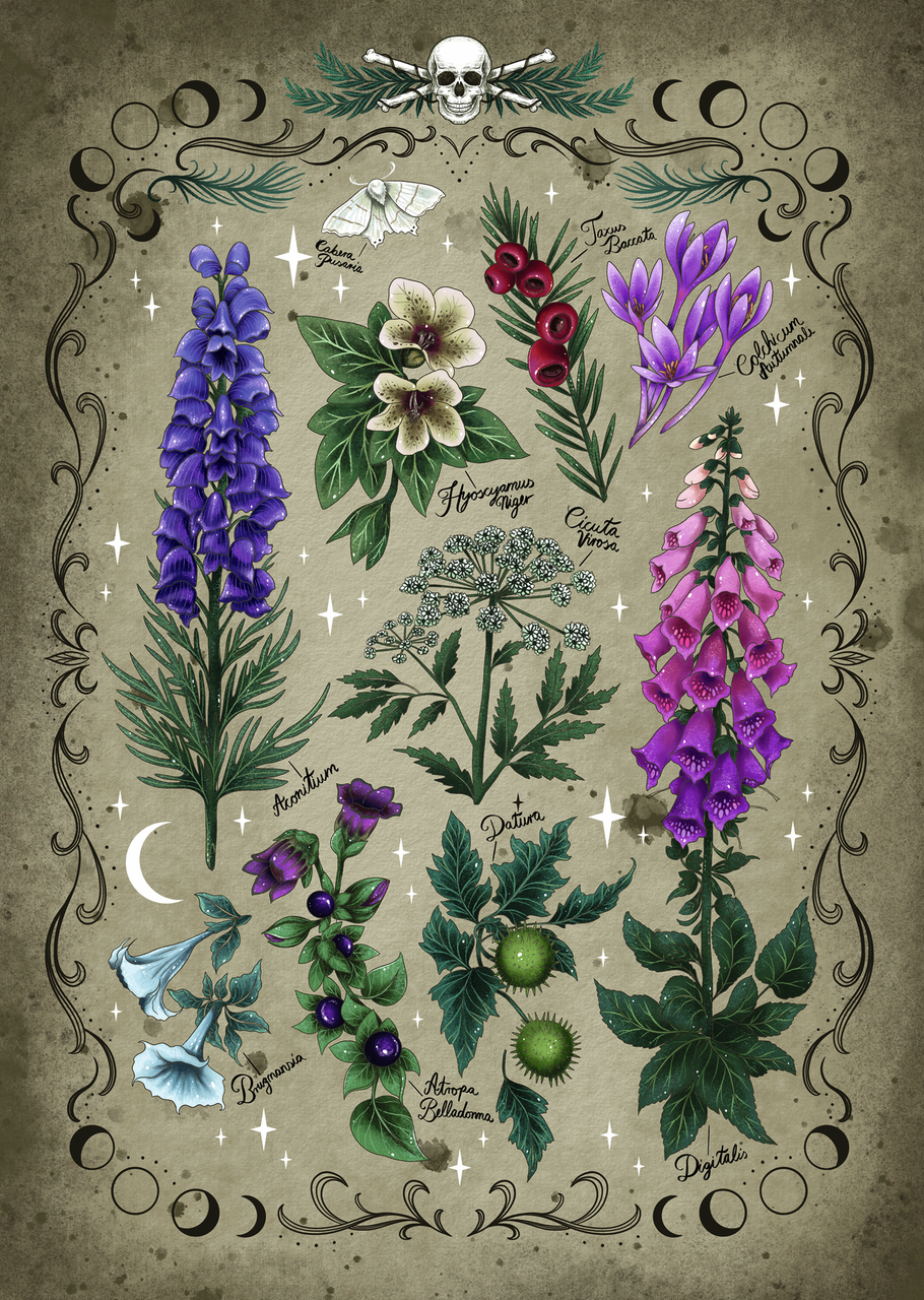 RAVENSBURGER TOXIC PLANTS 1000P