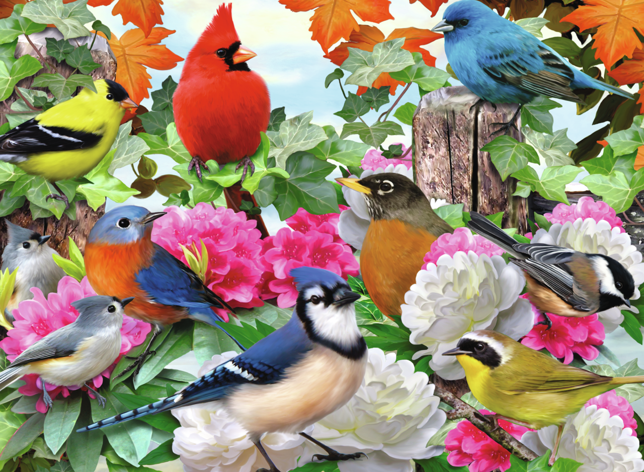 RAVENSBURGER GARDEN BIRDS 500 BRIKKER