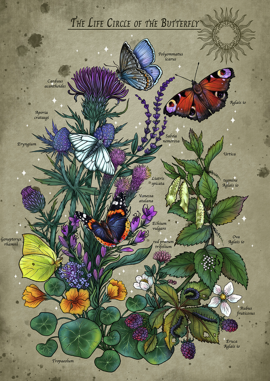 RAVENSBURGER LIFECIRCLE BUTTERFLY 1000 BRIKKER