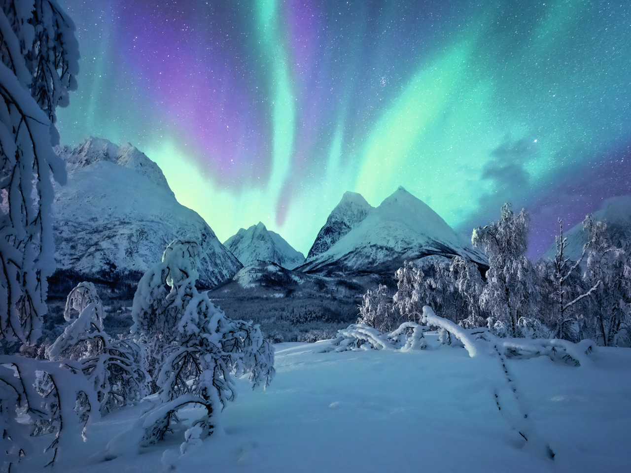 RAVENSBURGER ARCTIC SHOW 1500 BRIKKER