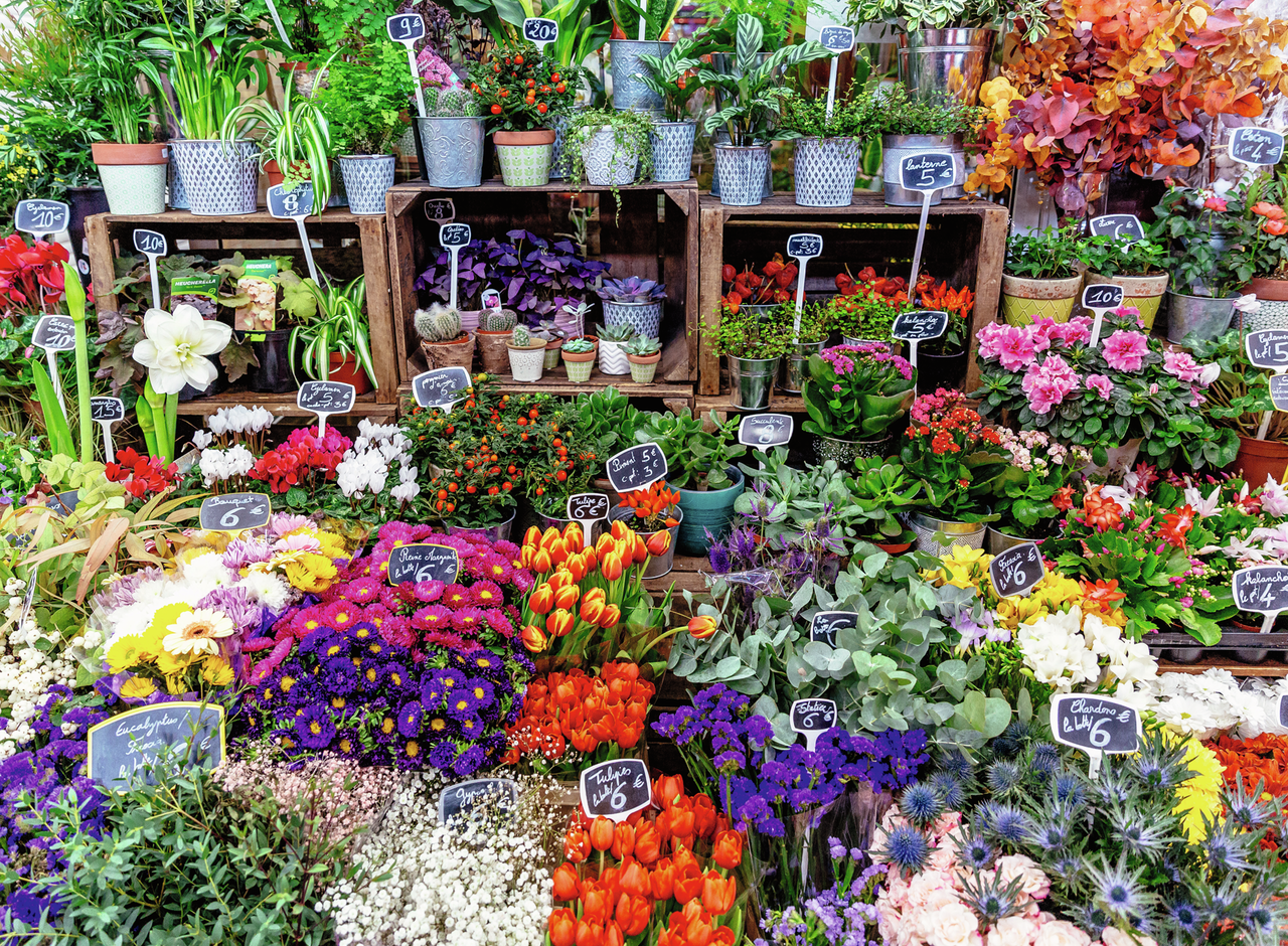 FLOWER MARKET FRANCE 500 PCS