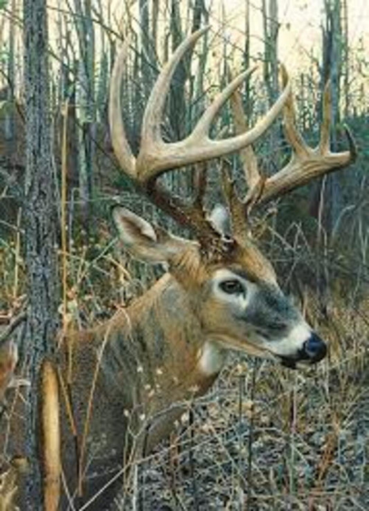 COBBLE HILL WHITE TAILED DEER 1000 BRIKKER