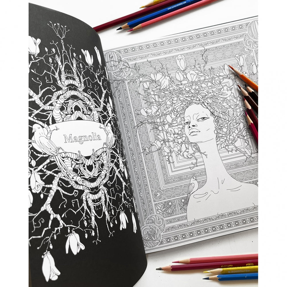 LISA AISATO'S COLOURING BOOK (MALEBOG)