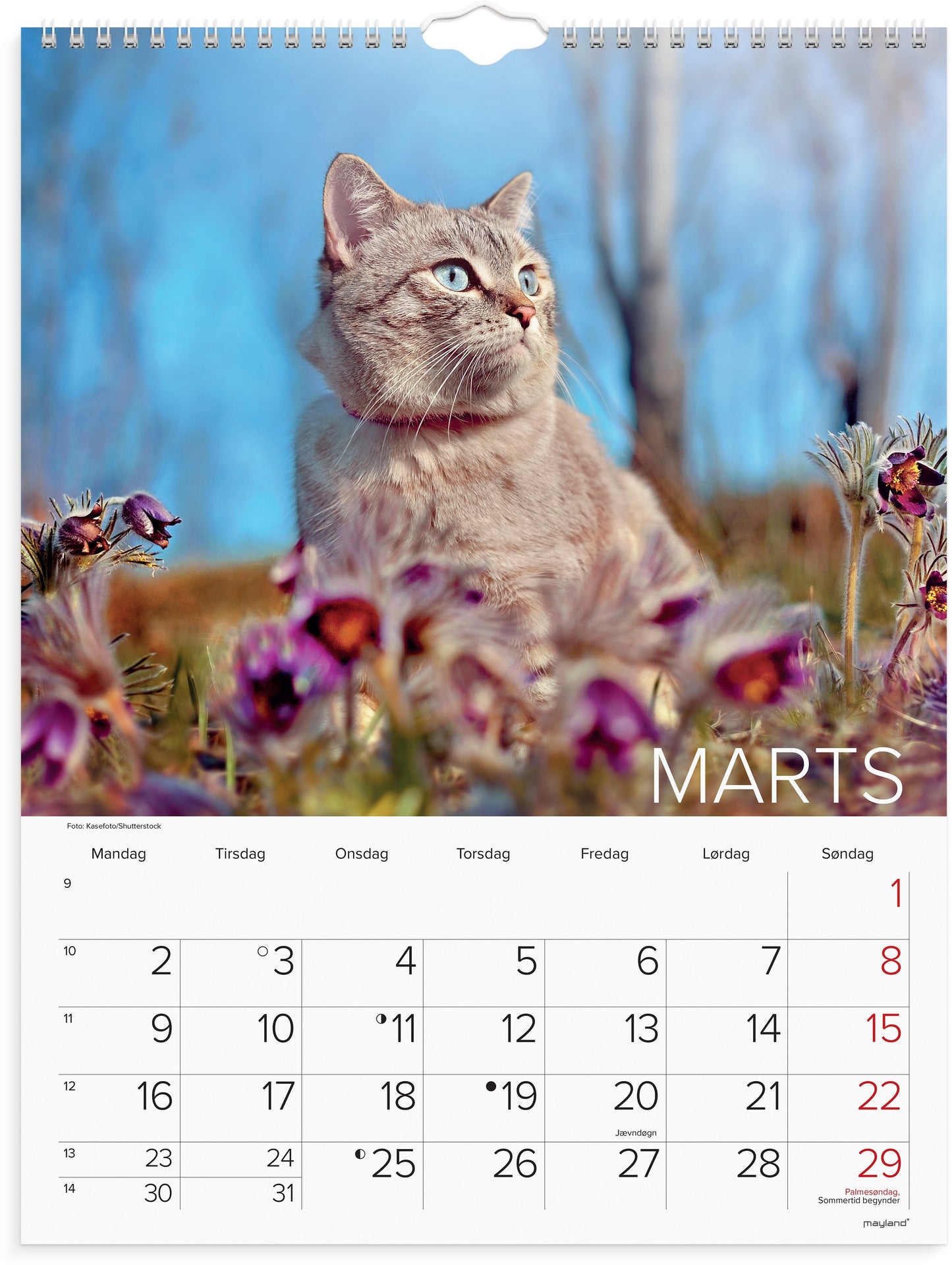 VÆGKALENDER KATTE 2026