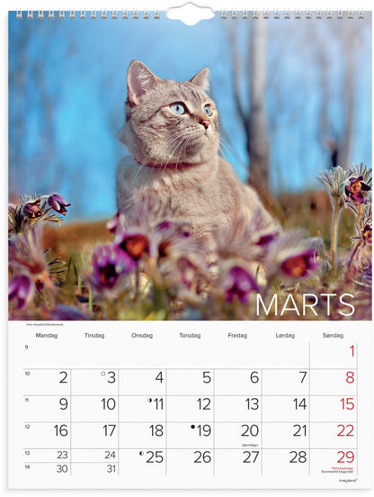 VÆGKALENDER KATTE 2026