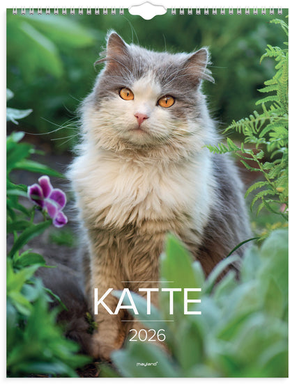 VÆGKALENDER KATTE 2026
