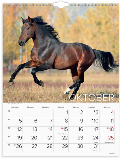 VÆGKALENDER HESTE 2026