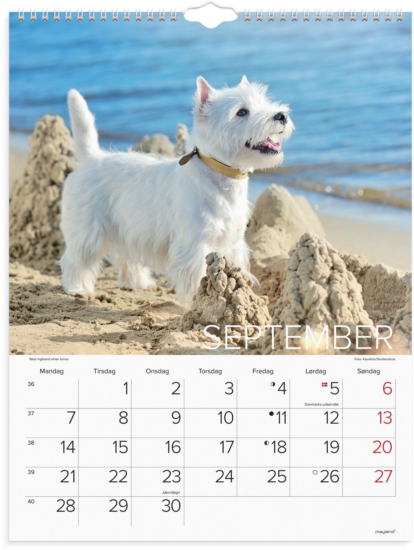 VÆGKALENDER HUNDE 2026 FSC MIX