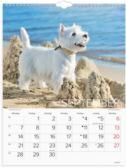 VÆGKALENDER HUNDE 2026 FSC MIX