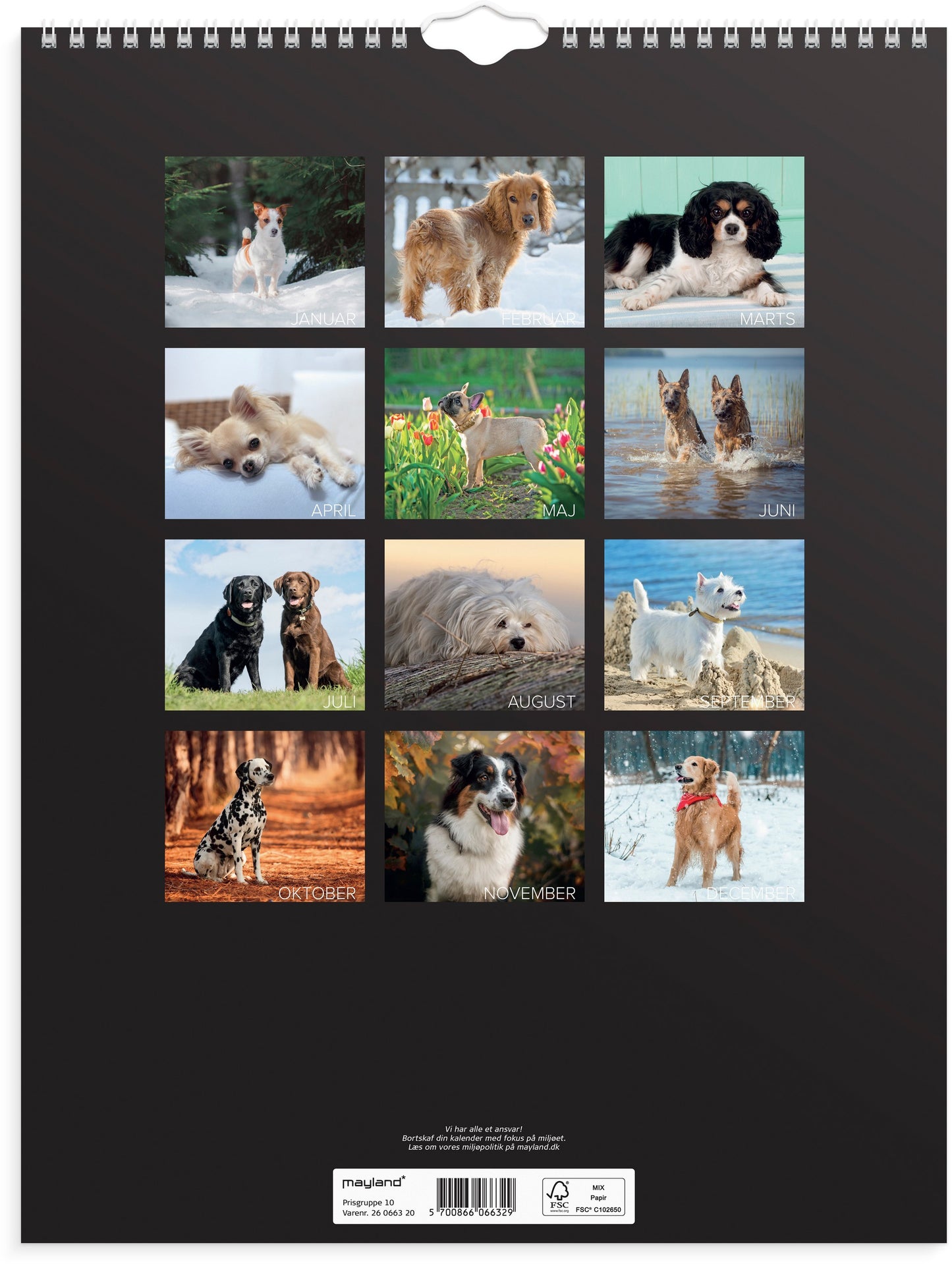 VÆGKALENDER HUNDE 2026 FSC MIX