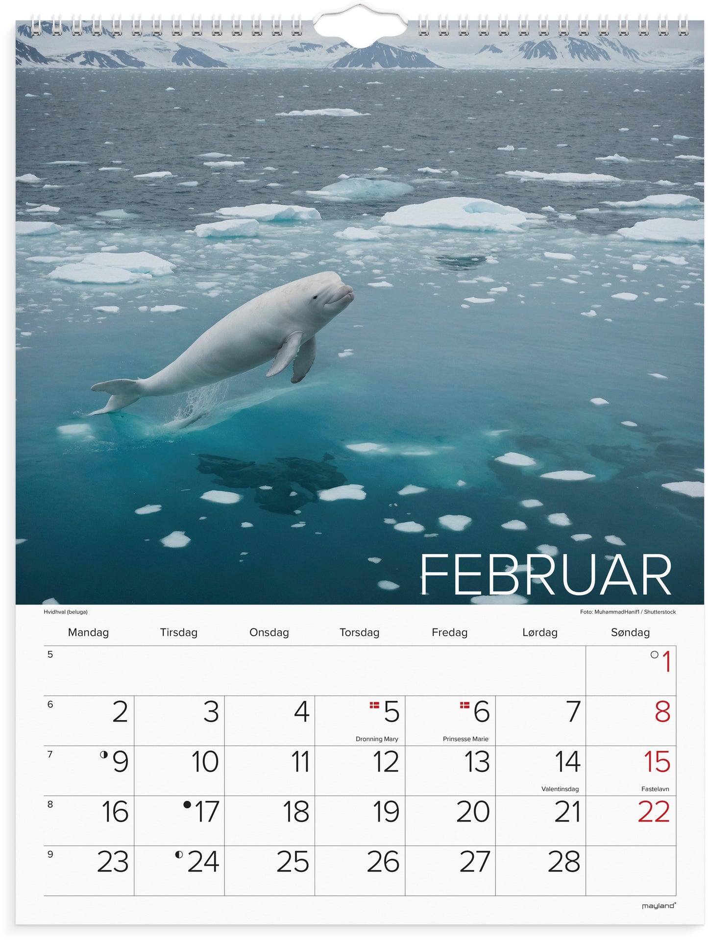 VÆGKALENDER VERDENS DYR 2026