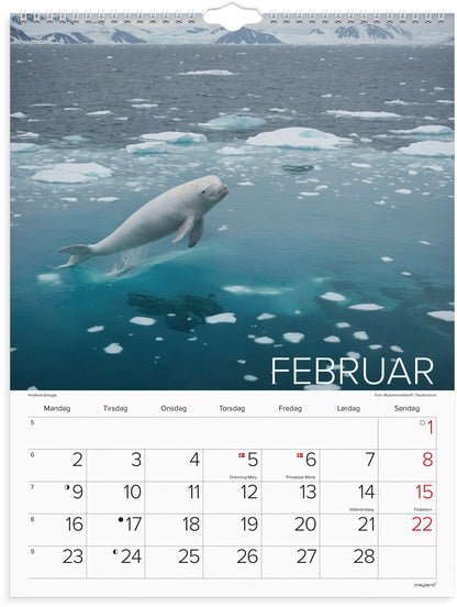 VÆGKALENDER VERDENS DYR 2026