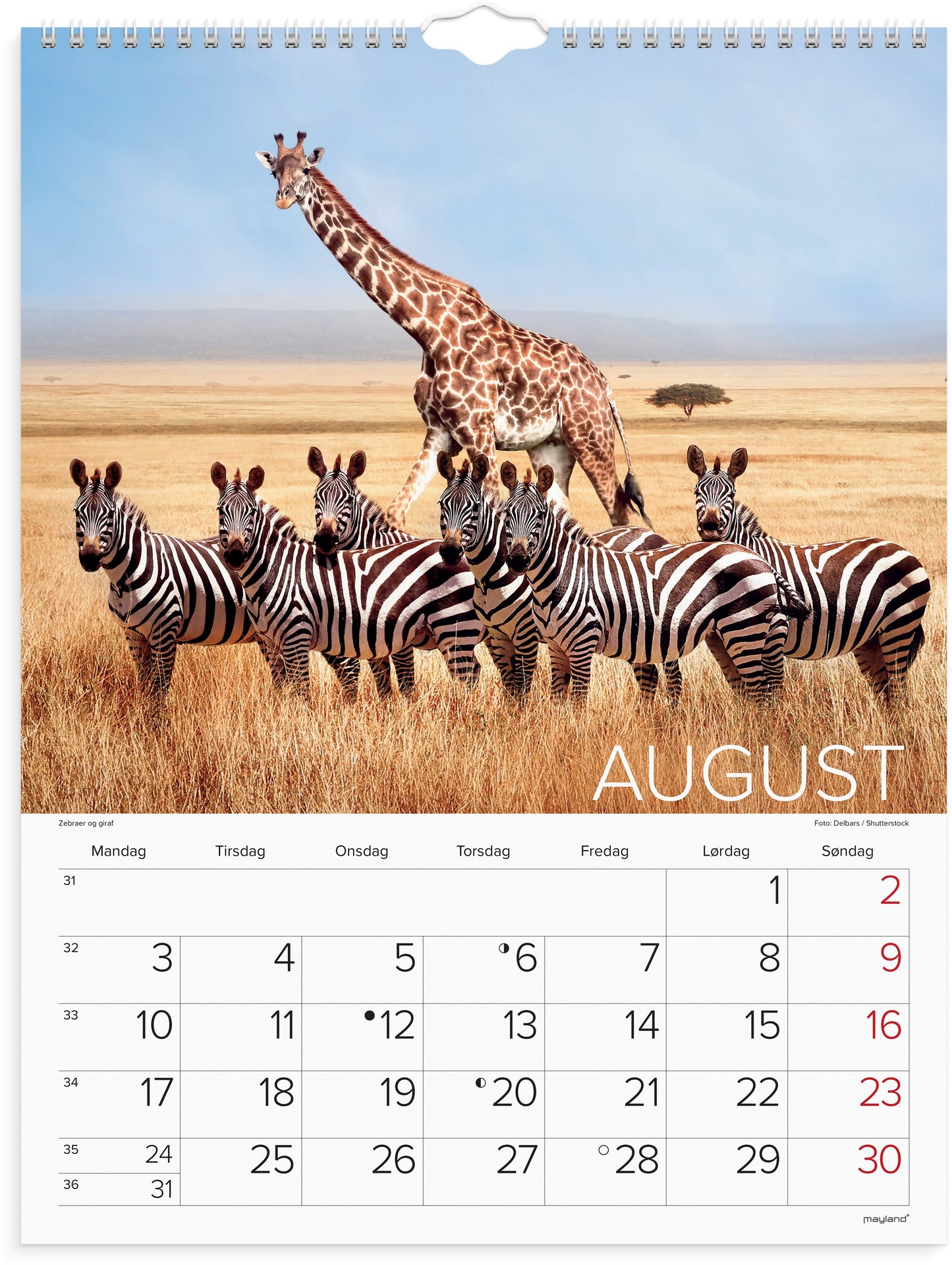 VÆGKALENDER VERDENS DYR 2026