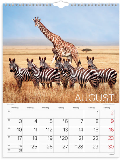 VÆGKALENDER VERDENS DYR 2026