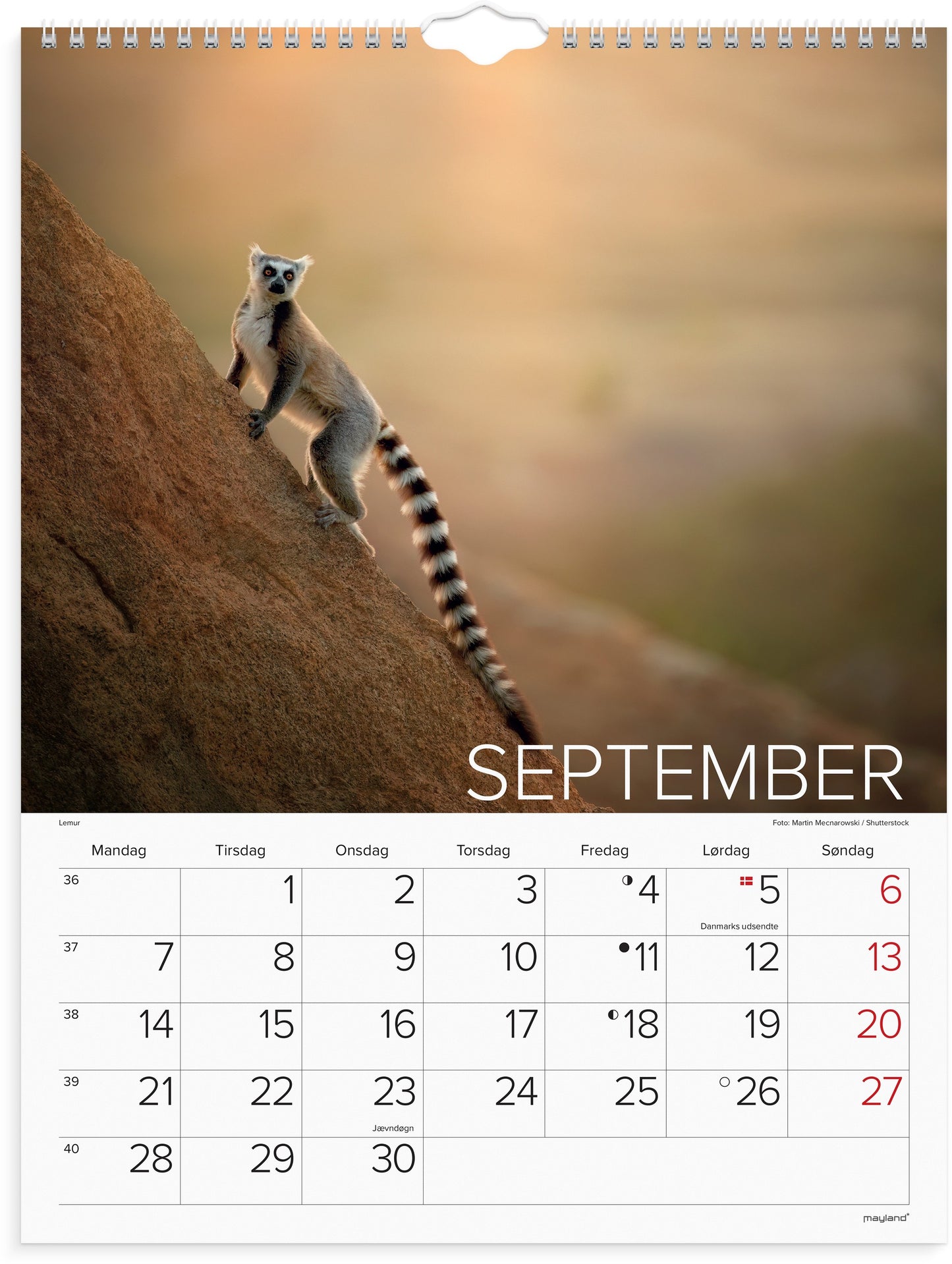 VÆGKALENDER VERDENS DYR 2026