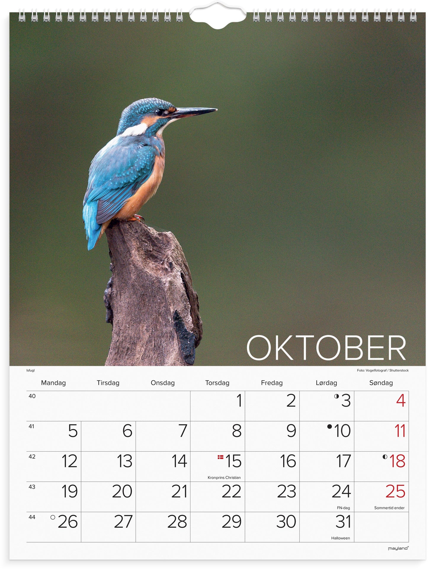 VÆGKALENDER VERDENS DYR 2026