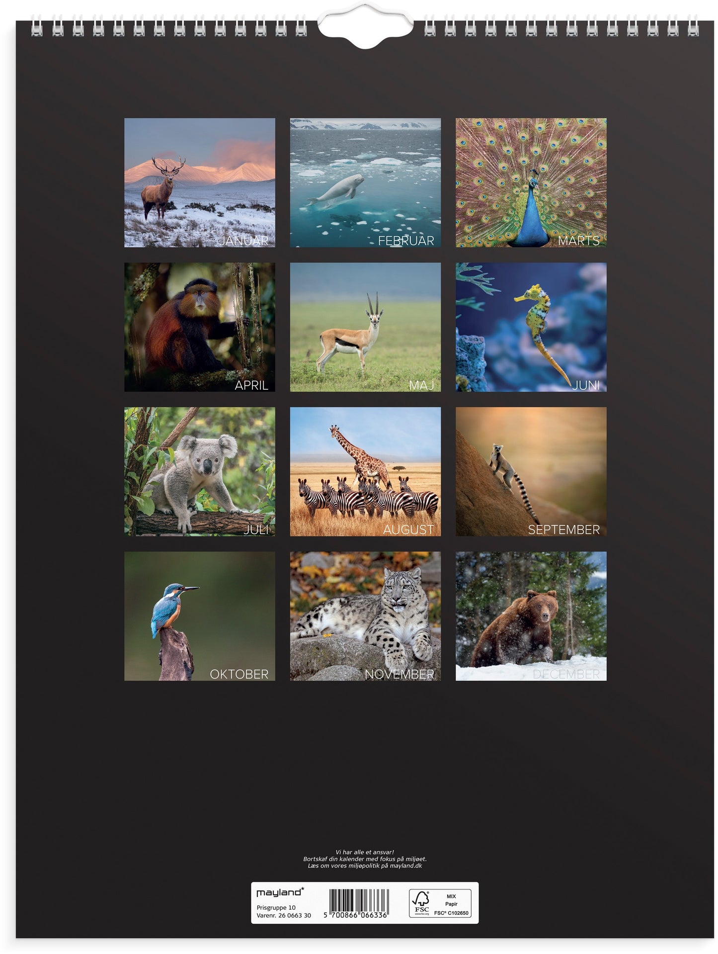 VÆGKALENDER VERDENS DYR 2026