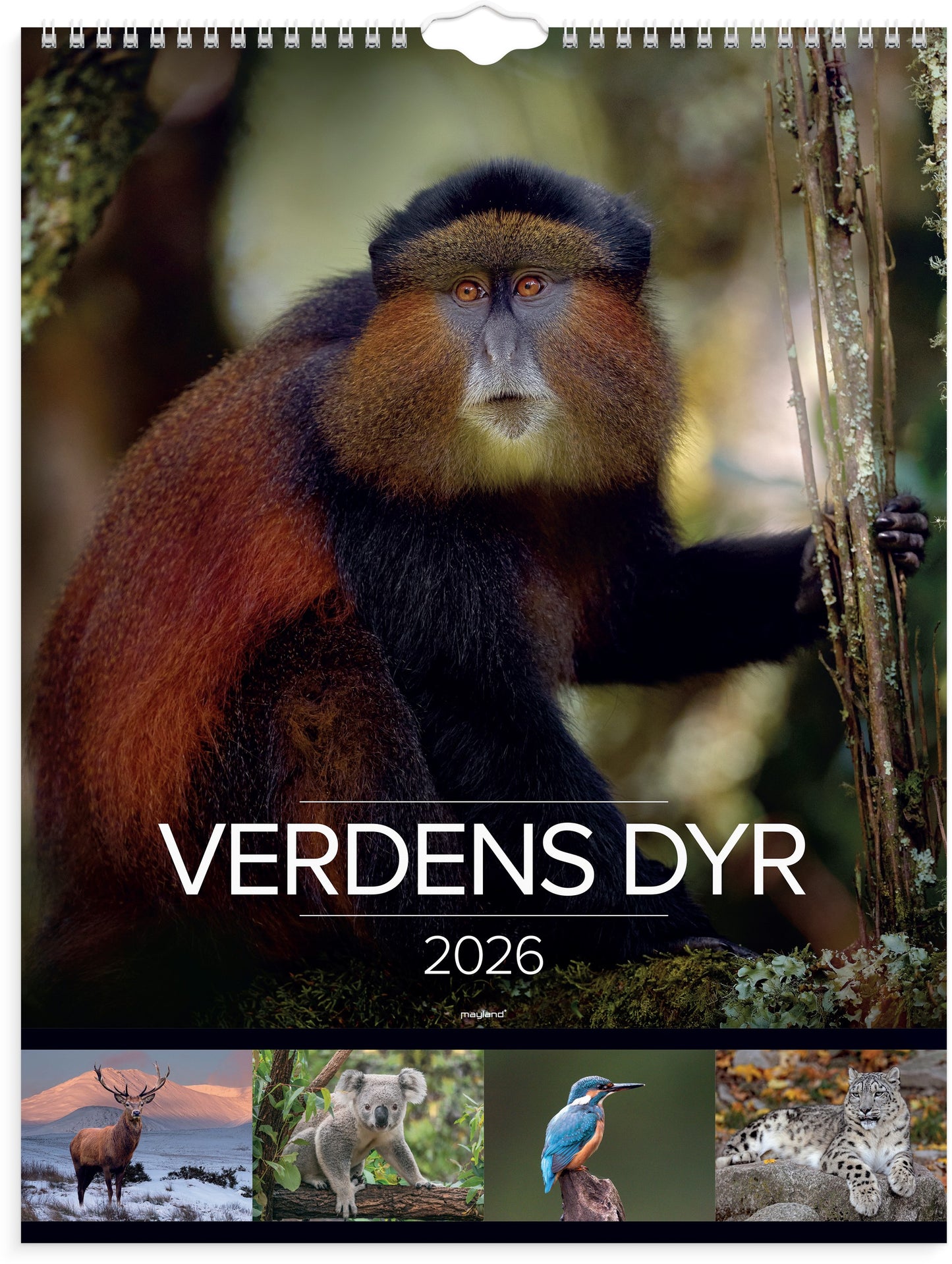 VÆGKALENDER VERDENS DYR 2026