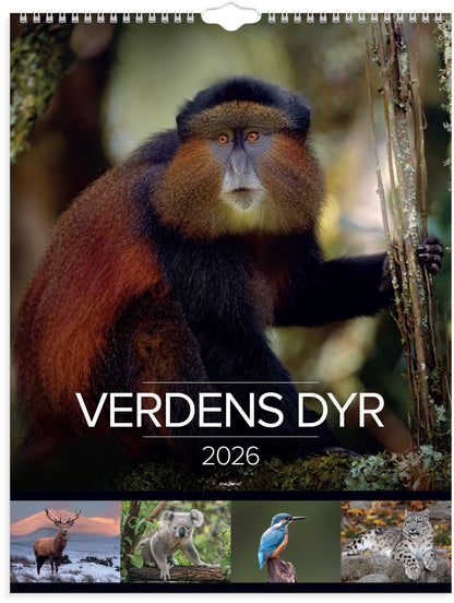 VÆGKALENDER VERDENS DYR 2026