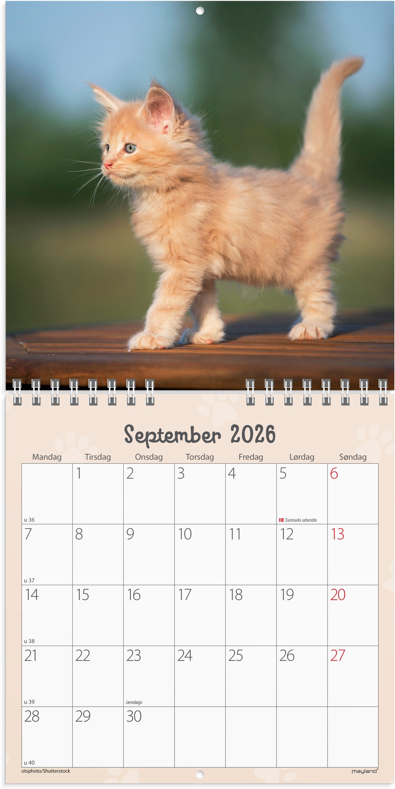 VÆGKALENDER MINI KATTEKILLINGER 2026