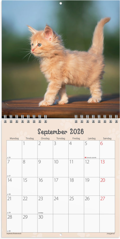 VÆGKALENDER MINI KATTEKILLINGER 2026