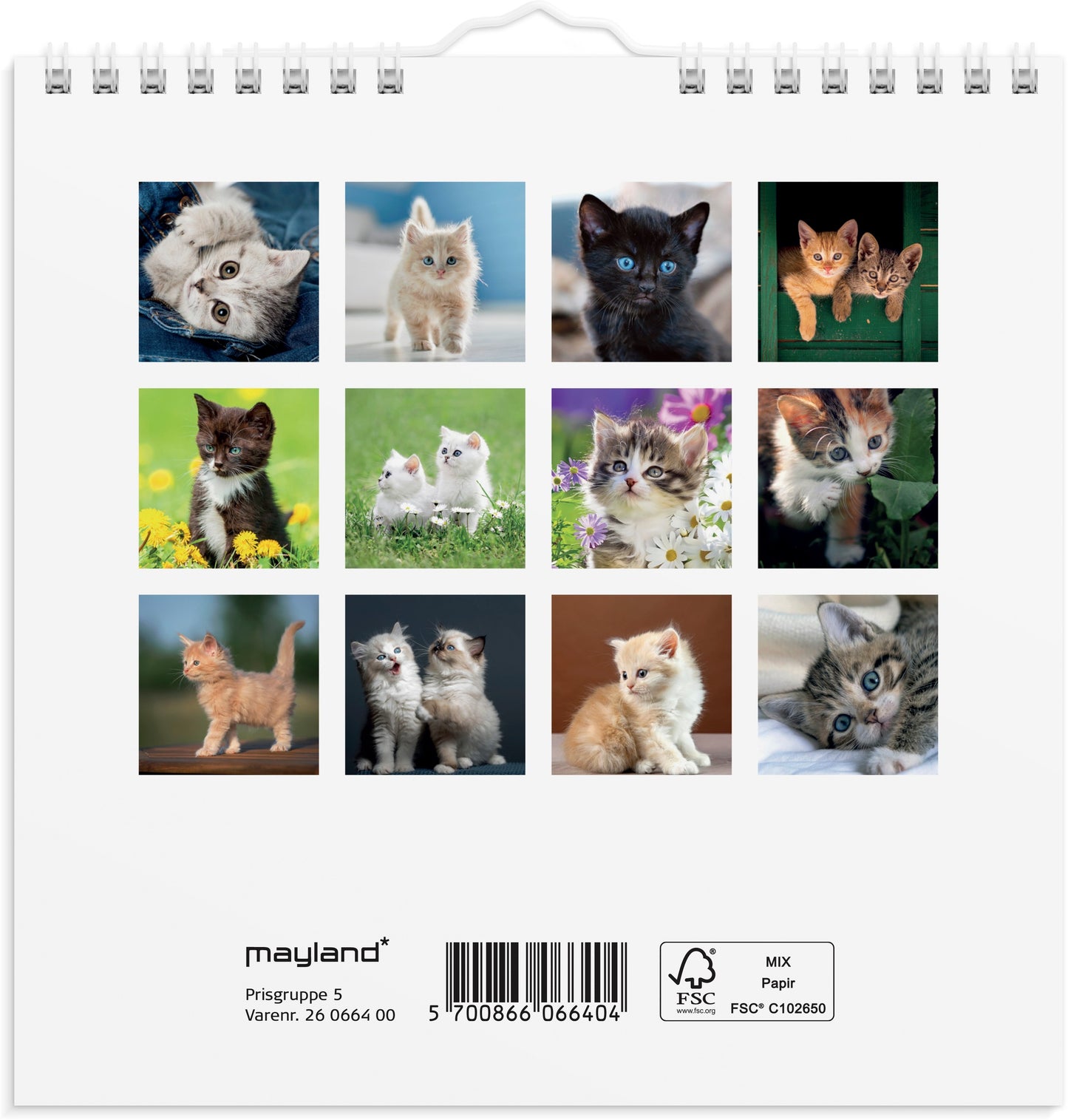 VÆGKALENDER MINI KATTEKILLINGER 2026